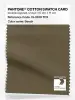 Product image 1 of the product “PANTONE® COTTON SWATCH CARD 19-0618 TCX Beech ”