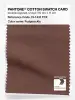 Product image 1 of the product “PANTONE® COTTON SWATCH CARD 19-1431 TCX Fudgesickle ”
