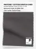 Product image 1 of the product “PANTONE® COTTON SWATCH CARD 19-3904 TCX Carbon Copy ”