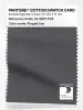 Artikelbild 1 des Artikels “PANTONE® COTTON SWATCH CARD 19-3907 TCX Forged Iron “