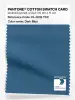 Product image 1 of the product “PANTONE® COTTON SWATCH CARD 19-4035 TCX Dark Blue ”