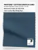 Product image 1 of the product “PANTONE® COTTON SWATCH CARD 19-4121 TCX Blue Wing Teal ”