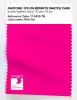 Product image 1 of the product “PANTONE® NYLON SWATCH CARD 17-2435 TN Pink Glo ”