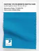 Artikelbild 1 des Artikels “PANTONE® NYLON SWATCH CARD 17-4436 TN Atomic Blue “