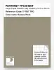 Artikelbild 1 des Artikels “PANTONE® TPG SHEET 17-1107 TPG Seneca Rock “