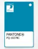 Product image 1 of the product “PANTONE® PLASTIC STANDARD CHIP PQ 10278C ”