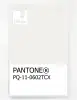 Product image 1 of the product “PANTONE® PLASTIC STANDARD CHIP PQ 11-0602 TCX Snow White ”