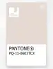 Artikelbild 1 des Artikels “PANTONE® PLASTIC STANDARD CHIP PQ 11-0603 TCX Pastel Parchment “