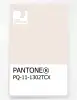 Product image 1 of the product “PANTONE® PLASTIC STANDARD CHIP PQ 11-1302 TCX Sea Salt ”