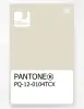 Product image 1 of the product “PANTONE® PLASTIC STANDARD CHIP PQ 12-0104 TCX White Asparagus ”