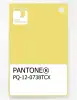 Product image 1 of the product “PANTONE® PLASTIC STANDARD CHIP PQ 12-0738 TCX Yellow Cream ”