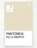 Product image 1 of the product “PANTONE® PLASTIC STANDARD CHIP PQ 12-0804 TCX Cloud Cream ”
