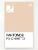 Product image 1 of the product “PANTONE® PLASTIC STANDARD CHIP PQ 12-0807 TCX Sun Kiss ”