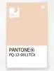 Product image 1 of the product “PANTONE® PLASTIC STANDARD CHIP PQ 12-0911 TCX Peach Taffy ”