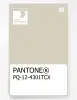 Product image 1 of the product “PANTONE® PLASTIC STANDARD CHIP PQ 12-4301 TCX Almond Milk ”