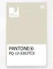 Product image 1 of the product “PANTONE® PLASTIC STANDARD CHIP PQ 12-5202 TCX Turtledove ”