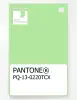 Product image 1 of the product “PANTONE® PLASTIC STANDARD CHIP PQ 13-0220 TCX Paradise Green ”