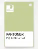 Artikelbild 1 des Artikels “PANTONE® PLASTIC STANDARD CHIP PQ 13-0317 TCX Lily Green “