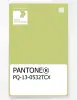 Artikelbild 1 des Artikels “PANTONE® PLASTIC STANDARD CHIP PQ 13-0532 TCX Celery Green “