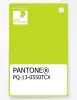 Artikelbild 1 des Artikels “PANTONE® PLASTIC STANDARD CHIP PQ 13-0550 TCX Lime Punch “