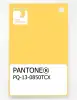 Artikelbild 1 des Artikels “PANTONE® PLASTIC STANDARD CHIP PQ 13-0850 TCX Aspen Gold “