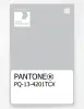 Product image 1 of the product “PANTONE® PLASTIC STANDARD CHIP PQ 13-4201 TCX Oyster Mushroom ”