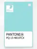 Product image 1 of the product “PANTONE® PLASTIC STANDARD CHIP PQ 13-4810 TCX Limpet Shell ”