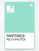 Product image 1 of the product “PANTONE® PLASTIC STANDARD CHIP PQ 13-5412 TCX Beach Glass ”