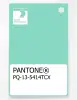 Product image 1 of the product “PANTONE® PLASTIC STANDARD CHIP PQ 13-5414 TCX Ice Green ”
