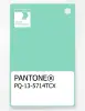 Artikelbild 1 des Artikels “PANTONE® PLASTIC STANDARD CHIP PQ 13-5714 TCX Cabbage “