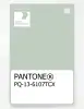 Product image 1 of the product “PANTONE® PLASTIC STANDARD CHIP PQ 13-6107 TCX Green Lily ”