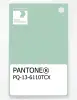 Product image 1 of the product “PANTONE® PLASTIC STANDARD CHIP PQ 13-6110 TCX Mist Green ”