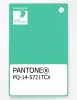Product image 1 of the product “PANTONE® PLASTIC STANDARD CHIP PQ 14-5721 TCX Electric Green ”