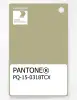 Artikelbild 1 des Artikels “PANTONE® PLASTIC STANDARD CHIP PQ 15-0318 TCX Sage Green “