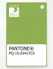 Product image 1 of the product “PANTONE® PLASTIC STANDARD CHIP PQ 15-0341 TCX Parrot Green ”