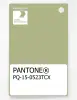 Product image 1 of the product “PANTONE® PLASTIC STANDARD CHIP PQ 15-0523 TCX Winter Pear ”