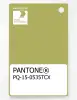 Product image 1 of the product “PANTONE® PLASTIC STANDARD CHIP PQ 15-0535 TCX Palm ”