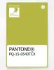 Product image 1 of the product “PANTONE® PLASTIC STANDARD CHIP PQ 15-0543 TCX Apple Green ”
