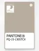 Product image 1 of the product “PANTONE® PLASTIC STANDARD CHIP PQ 15-1305 TCX Feather Gray ”
