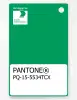 Artikelbild 1 des Artikels “PANTONE® PLASTIC STANDARD CHIP PQ 15-5534 TCX Bright Green “