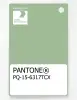Artikelbild 1 des Artikels “PANTONE® PLASTIC STANDARD CHIP PQ 15-6317 TCX Quiet Green “