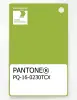 Product image 1 of the product “PANTONE® PLASTIC STANDARD CHIP PQ 16-0230 TCX Macaw Green ”