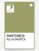 Artikelbild 1 des Artikels “PANTONE® PLASTIC STANDARD CHIP PQ 16-0430 TCX Fern “