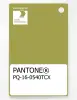 Product image 1 of the product “PANTONE® PLASTIC STANDARD CHIP PQ 16-0540 TCX Oasis ”