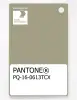 Product image 1 of the product “PANTONE® PLASTIC STANDARD CHIP PQ 16-0613 TCX Elm ”