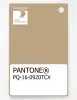 Artikelbild 1 des Artikels “PANTONE® PLASTIC STANDARD CHIP PQ 16-0920 TCX Curds & Whey “