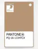 Product image 1 of the product “PANTONE® PLASTIC STANDARD CHIP PQ 16-1334 TCX Tan ”