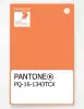 Product image 1 of the product “PANTONE® PLASTIC STANDARD CHIP PQ 16-1343 TCX Autumn Sunset ”