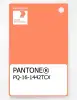 Product image 1 of the product “PANTONE® PLASTIC STANDARD CHIP PQ 16-1442 TCX Melon ”