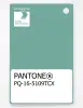 Product image 1 of the product “PANTONE® PLASTIC STANDARD CHIP PQ 16-5109 TCX Wasabi ”